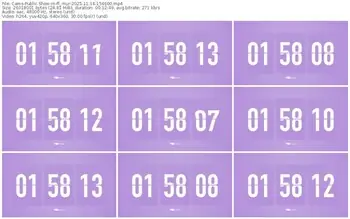 cams-ff_mur-11-14-2025-15-46-00