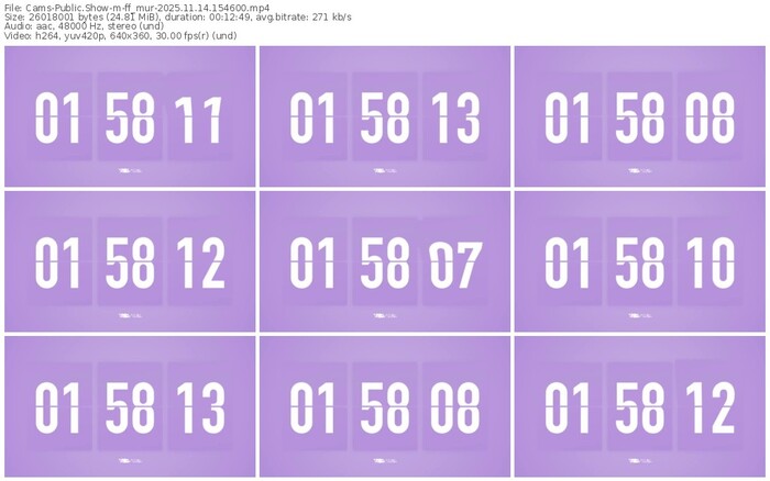 cams-ff_mur-11-14-2025-15-46-00