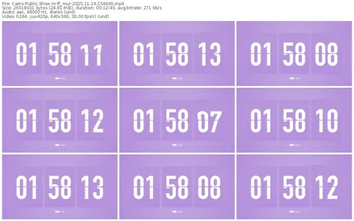 cams-ff_mur-11-14-2025-15-46-00