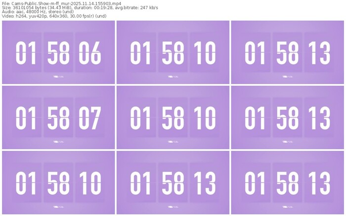 cams-ff_mur-11-14-2025-15-59-03