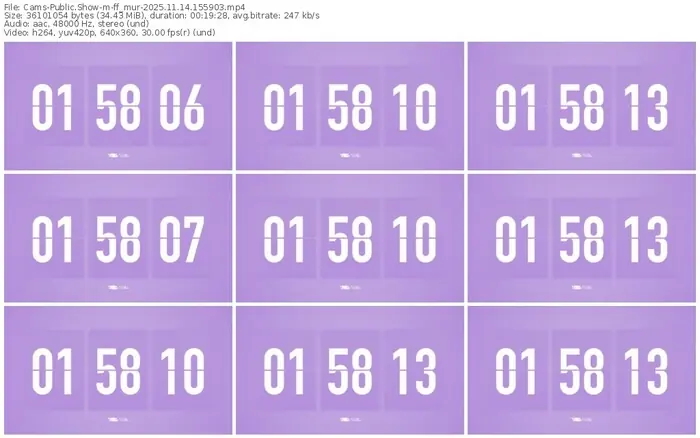 cams-ff_mur-11-14-2025-15-59-03