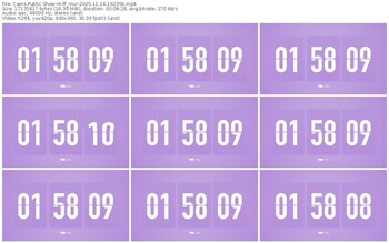 cams-ff_mur-11-14-2025-16-23-56