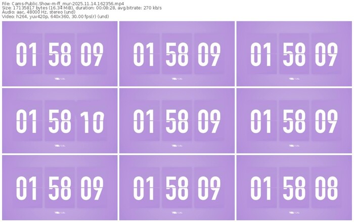 cams-ff_mur-11-14-2025-16-23-56