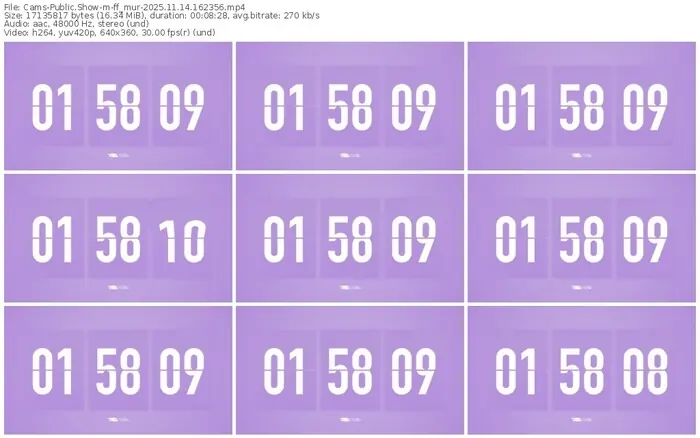 cams-ff_mur-11-14-2025-16-23-56