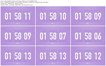 cams-ff_mur-11-14-2025-16-39-00