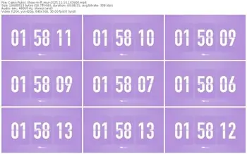 cams-ff_mur-11-14-2025-16-39-00