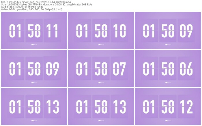 cams-ff_mur-11-14-2025-16-39-00