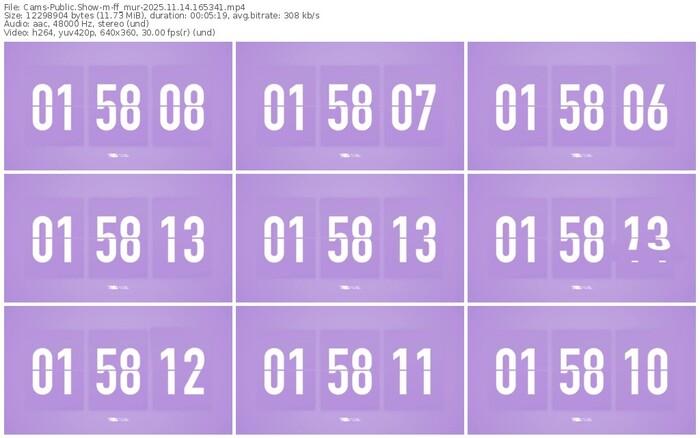 cams-ff_mur-11-14-2025-16-53-41