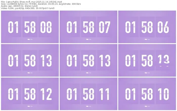 cams-ff_mur-11-14-2025-16-53-41