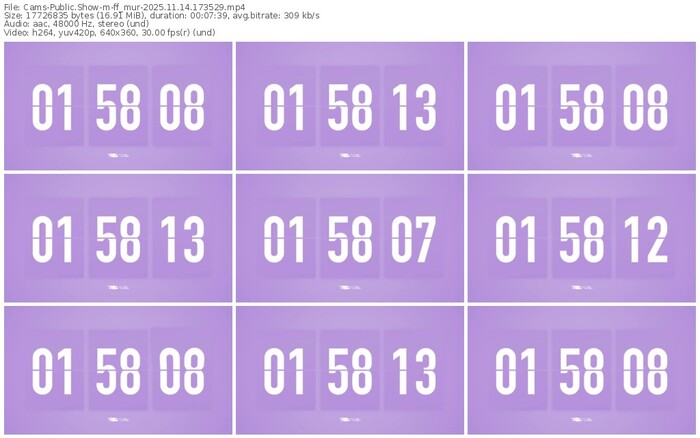 cams-ff_mur-11-14-2025-17-35-29