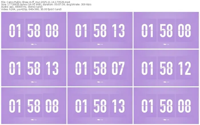 cams-ff_mur-11-14-2025-17-35-29