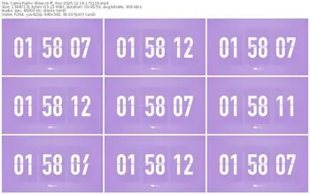 cams-ff_mur-11-14-2025-17-51-19