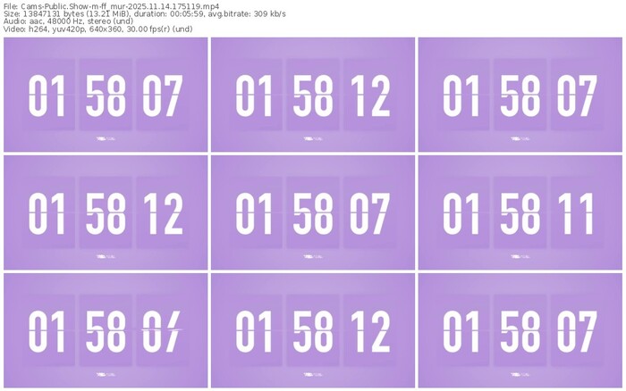 cams-ff_mur-11-14-2025-17-51-19