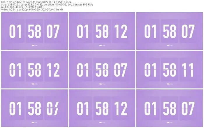 cams-ff_mur-11-14-2025-17-51-19