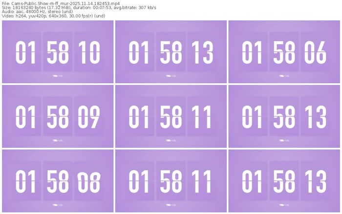cams-ff_mur-11-14-2025-18-24-53