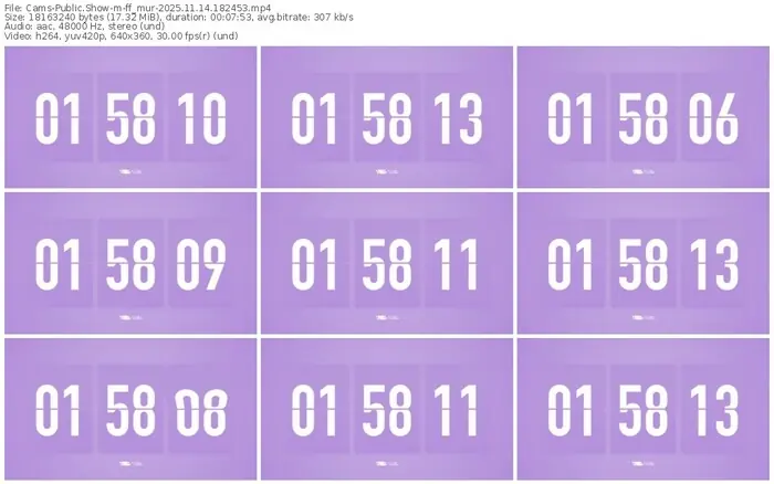 cams-ff_mur-11-14-2025-18-24-53