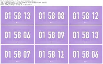 cams-ff_mur-11-14-2025-19-18-58