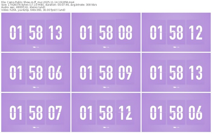 cams-ff_mur-11-14-2025-19-18-58