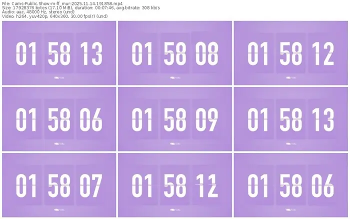 cams-ff_mur-11-14-2025-19-18-58
