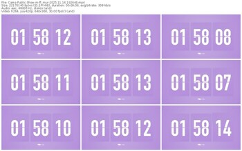 cams-ff_mur-11-14-2025-19-26-48