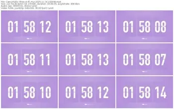 cams-ff_mur-11-14-2025-19-26-48