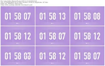 cams-ff_mur-11-14-2025-21-18-32