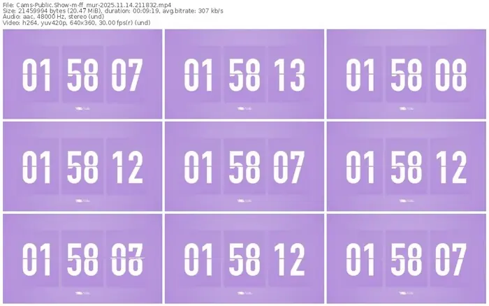 cams-ff_mur-11-14-2025-21-18-32