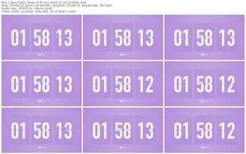 cams-ff_mur-11-14-2025-21-29-04