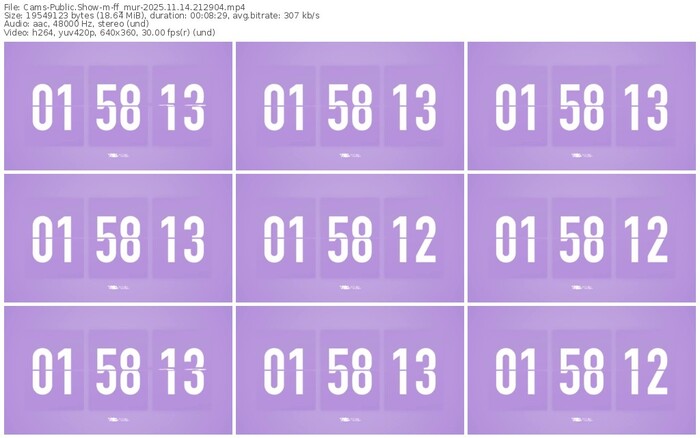 cams-ff_mur-11-14-2025-21-29-04