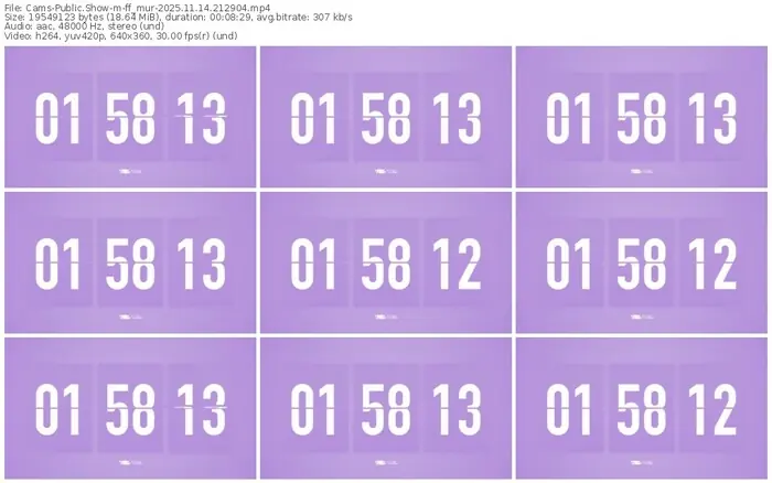 cams-ff_mur-11-14-2025-21-29-04