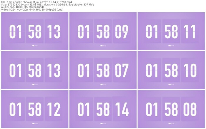 cams-ff_mur-11-14-2025-21-52-10