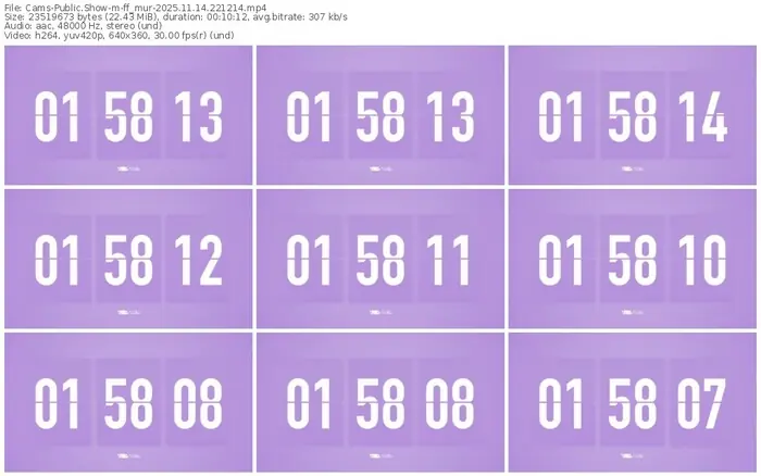 cams-ff_mur-11-14-2025-22-12-14