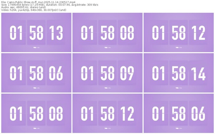 cams-ff_mur-11-14-2025-23-05-17