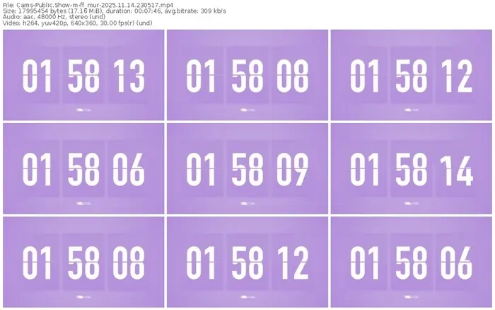 cams-ff_mur-11-14-2025-23-05-17