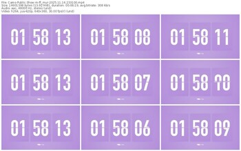 cams-ff_mur-11-14-2025-23-31-00