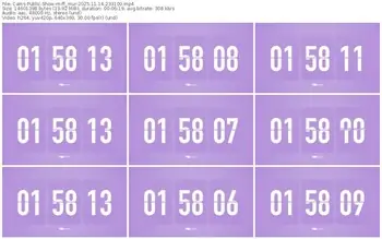 cams-ff_mur-11-14-2025-23-31-00