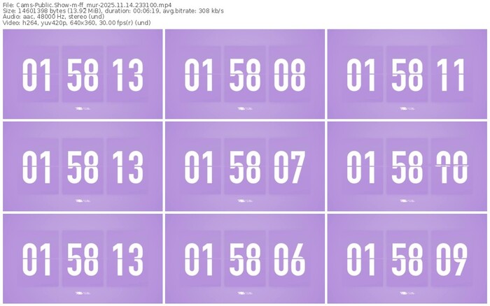cams-ff_mur-11-14-2025-23-31-00