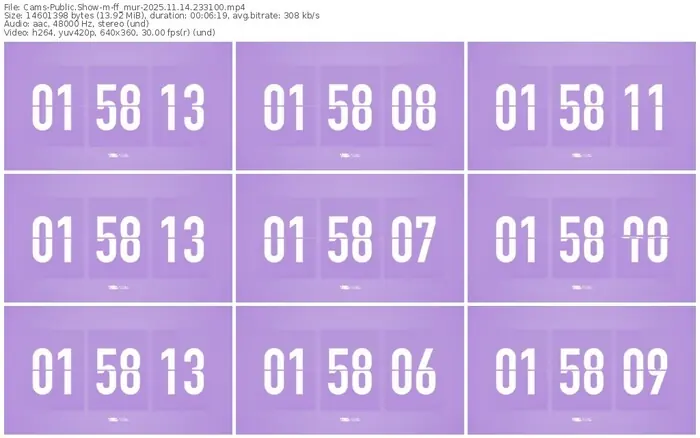 cams-ff_mur-11-14-2025-23-31-00