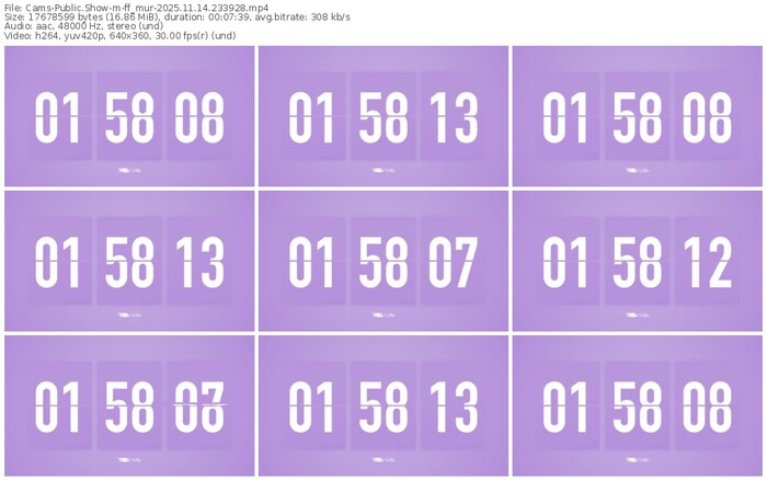 cams-ff_mur-11-14-2025-23-39-28