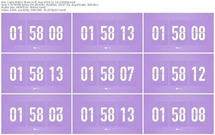 cams-ff_mur-11-14-2025-23-39-28