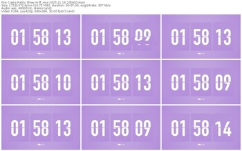 cams-ff_mur-11-14-2025-23-58-03