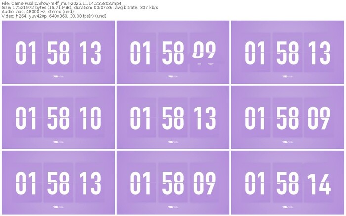 cams-ff_mur-11-14-2025-23-58-03