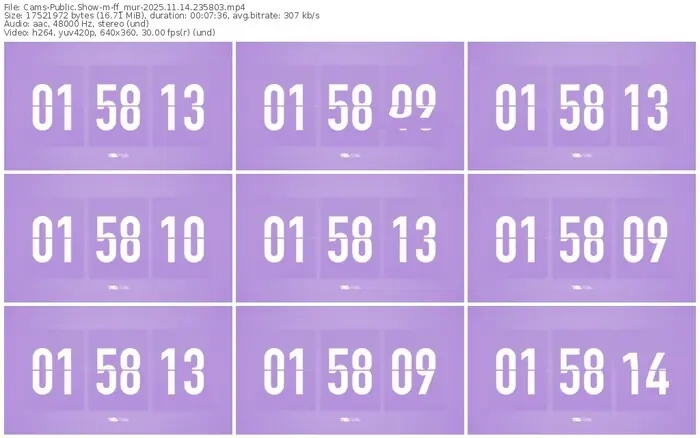 cams-ff_mur-11-14-2025-23-58-03