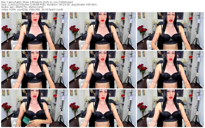 cams-rhubyts-11-14-2025-17-18-09