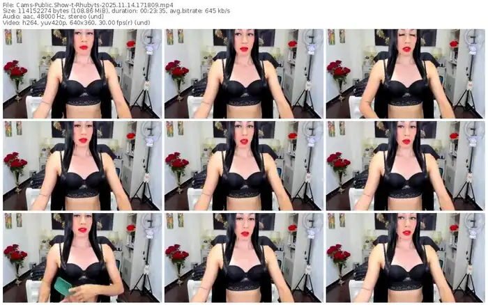 cams-rhubyts-11-14-2025-17-18-09