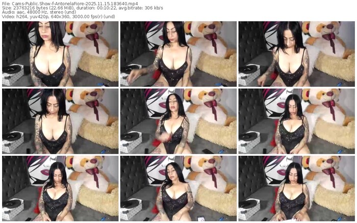 cams-antonelafiore-11-15-2025-18-36-40