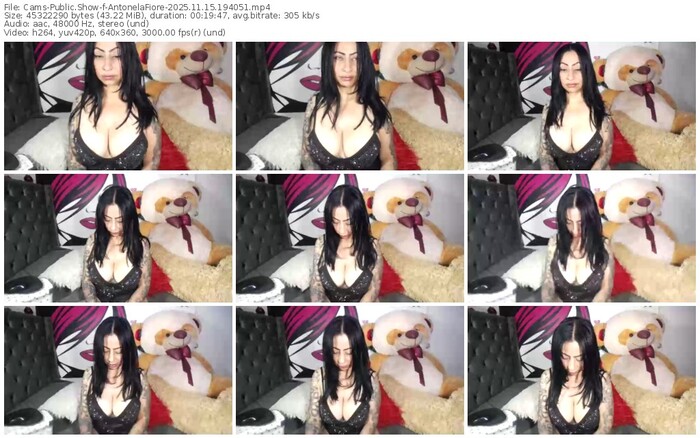 cams-antonelafiore-11-15-2025-19-40-51