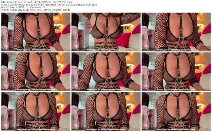 cams-hayfa-11-15-2025-12-12-31