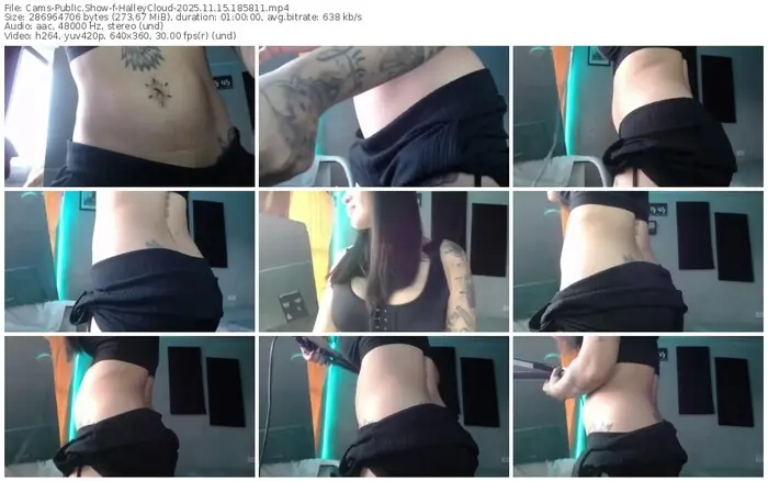 cams-halleycloud-11-15-2025-18-58-11