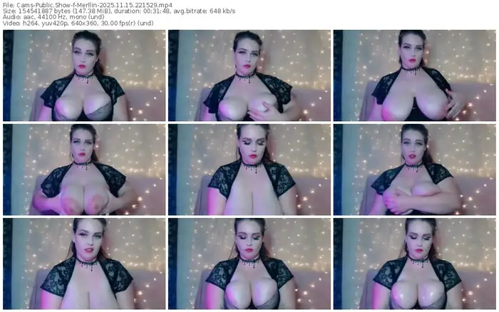 cams-merllin-11-15-2025-22-15-29